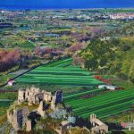 Scopri Santa Maria del Cedro: Le migliori cose da fare e da vedere Scopri Santa Maria del Cedro: Le migliori cose da fare e da vedere